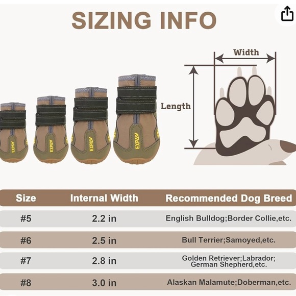 Size 6 Dog Shoes!! - Picture 9 of 12